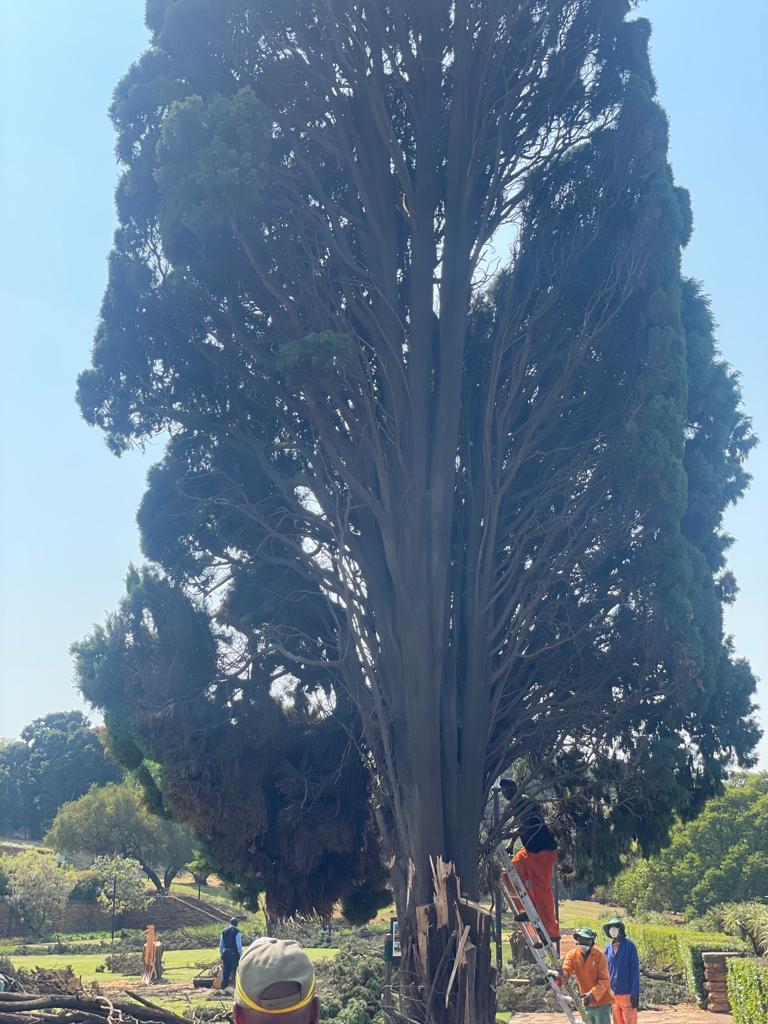 WhatsApp Image 2024-03-20 at 08.14.35_b5365525